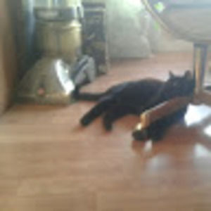 Meet your Posher, Sandra